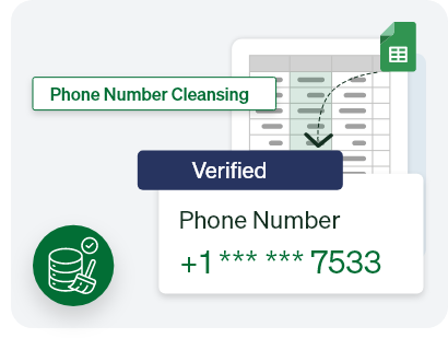 Phone Number Cleansing