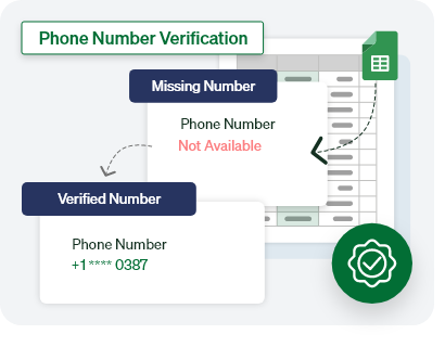 Phone Number Verification Service in USA